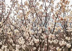 冂opho冂几oc脚恋视频-九游体育入口